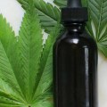 What cbd is best for pain and sleep?
