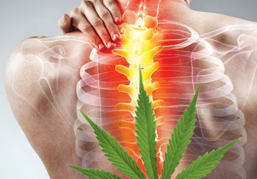 What cbd strain is best for back pain?